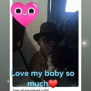 Meet your Posher, Isabel